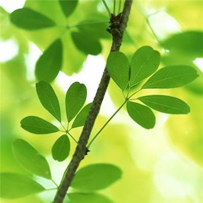 仙戾三生游戏