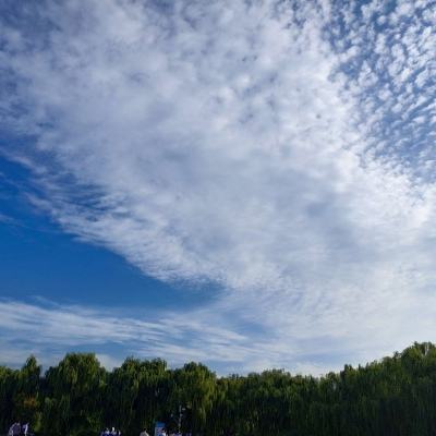 梦浮灯小米客户端下载